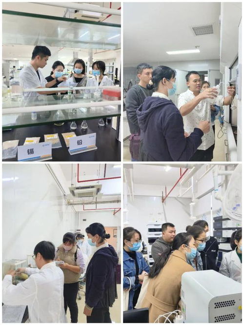 海南省食品安全協(xié)會圓滿舉辦2024食品檢驗員職業(yè)技能培訓(xùn)班