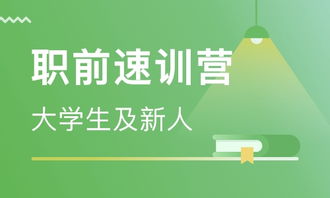 沈陽人力資源精品實操技能培訓 保簽就業