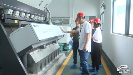 縣市場監管局開展糧食質量安全生產監管工作