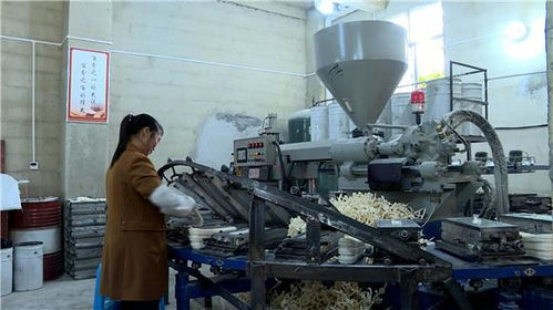 巫溪 小布鞋 做成 大產業 家門口脫貧就業有奔頭