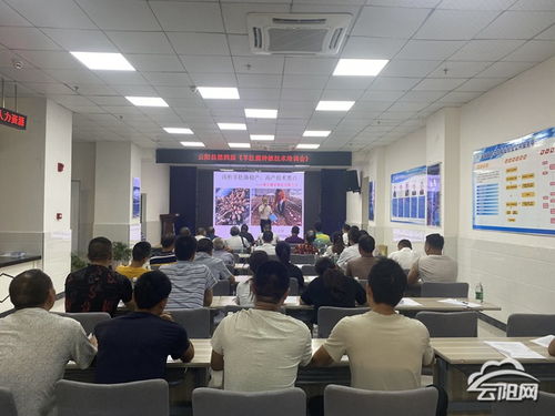 云陽舉行第四屆羊肚菌種植技術培訓會 促進產業提質增效