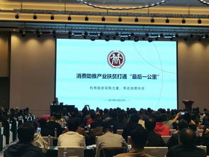 貧困地區(qū)農(nóng)副產(chǎn)品網(wǎng)絡(luò)銷售平臺(tái)四川地區(qū)全面啟動(dòng)運(yùn)營(yíng) 云背簍科技集團(tuán)開(kāi)展培訓(xùn)
