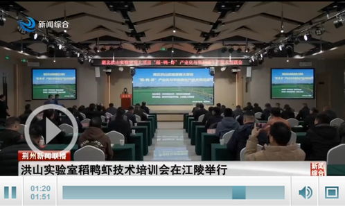 洪山實驗室稻鴨蝦技術培訓會在江陵舉行