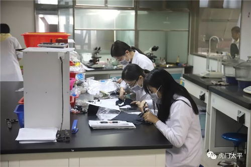 虎門技術人才好去處 虎門再添一個技師工作站,專門培養這些人才