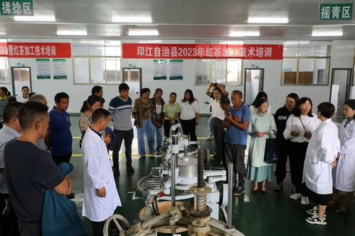 印江扎實開展紅茶加工技術培訓助力茶農增收