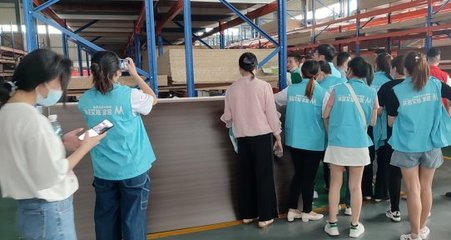 萊茵艾格家居上市了嗎?還沒上市,但萊茵艾格依舊很優(yōu)秀